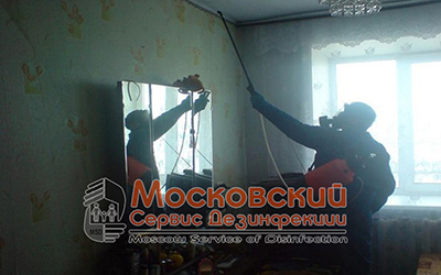 дезинсекция клопов в квартире дезинсекция клопов в квартире